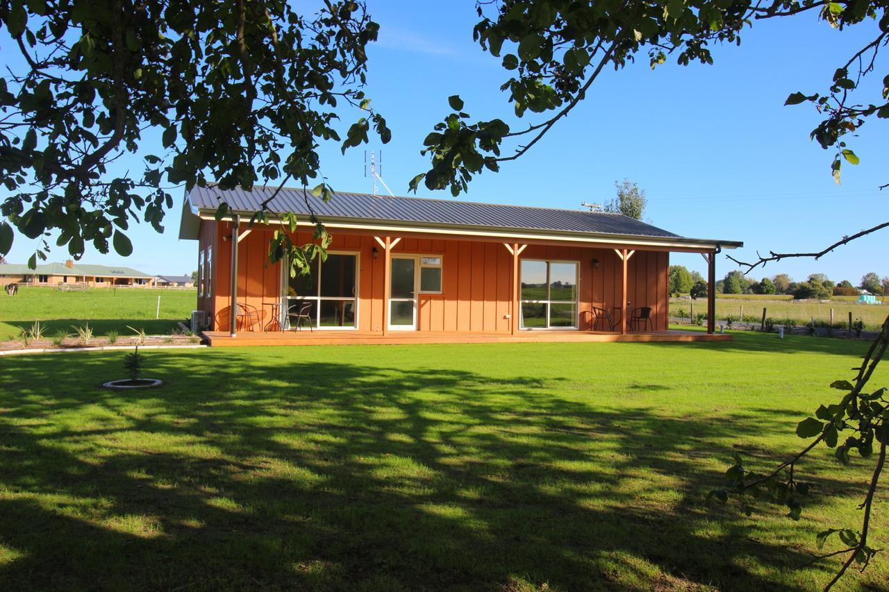מטאמאטה Walnut Lodge B&B מראה חיצוני תמונה